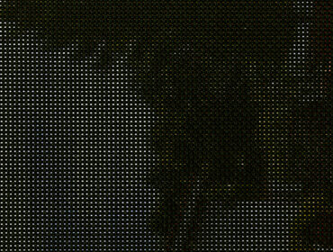 Black paisaje
