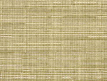 Shell Paisaje